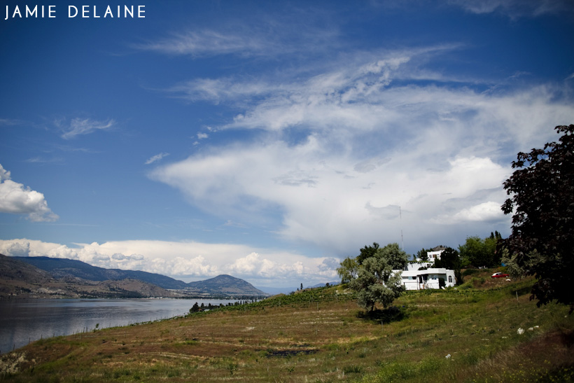 laurelltrevorblog-1001 god's mountain estate wedding