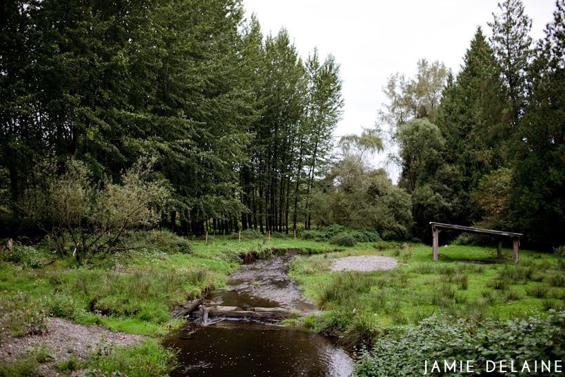 damaragoetzblog0049