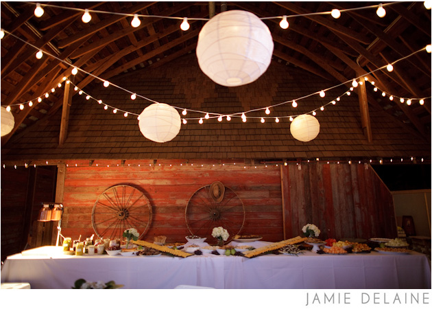 laurakyleziemerslideshow065 saar banks farm wedding (41)