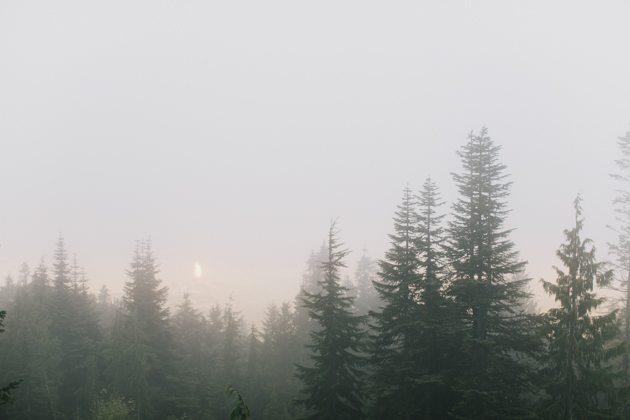 grouse mountain wedding photos
