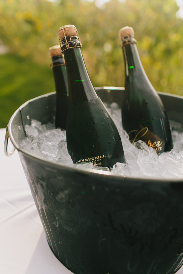 Summerhill Estate Winery Wedding Photos (37)