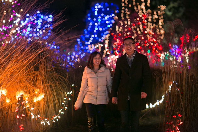 vancouver proposal photos at van dusen