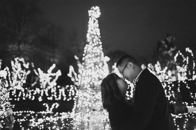 vancouver proposal photos at van dusen
