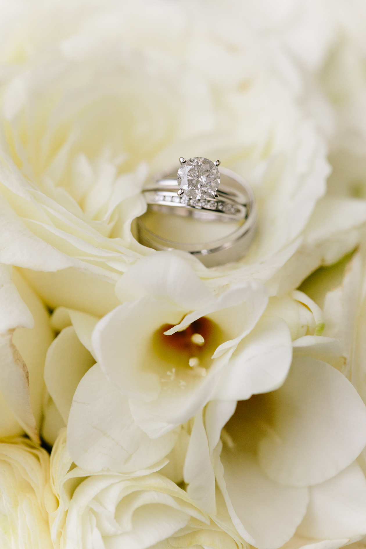 Vancouver Wedding Photographer