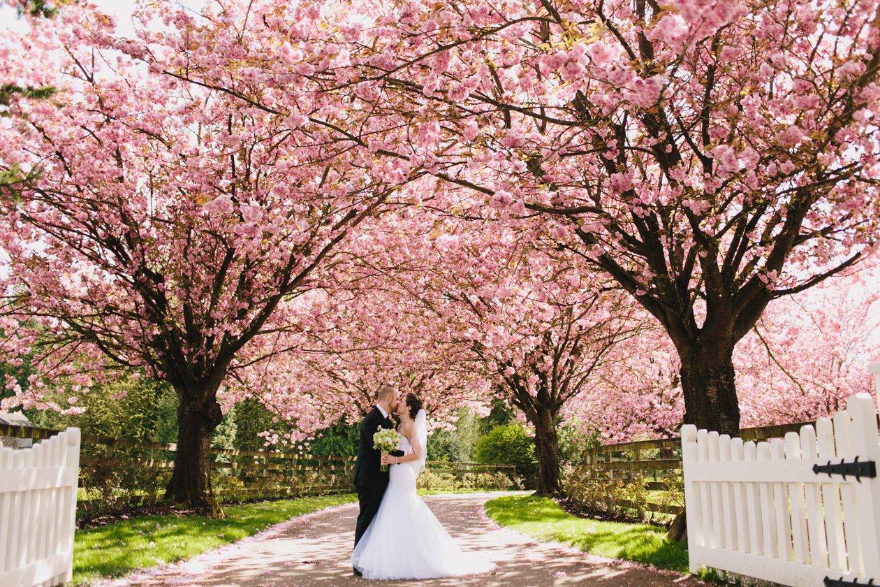 Vancouver Wedding Photographer