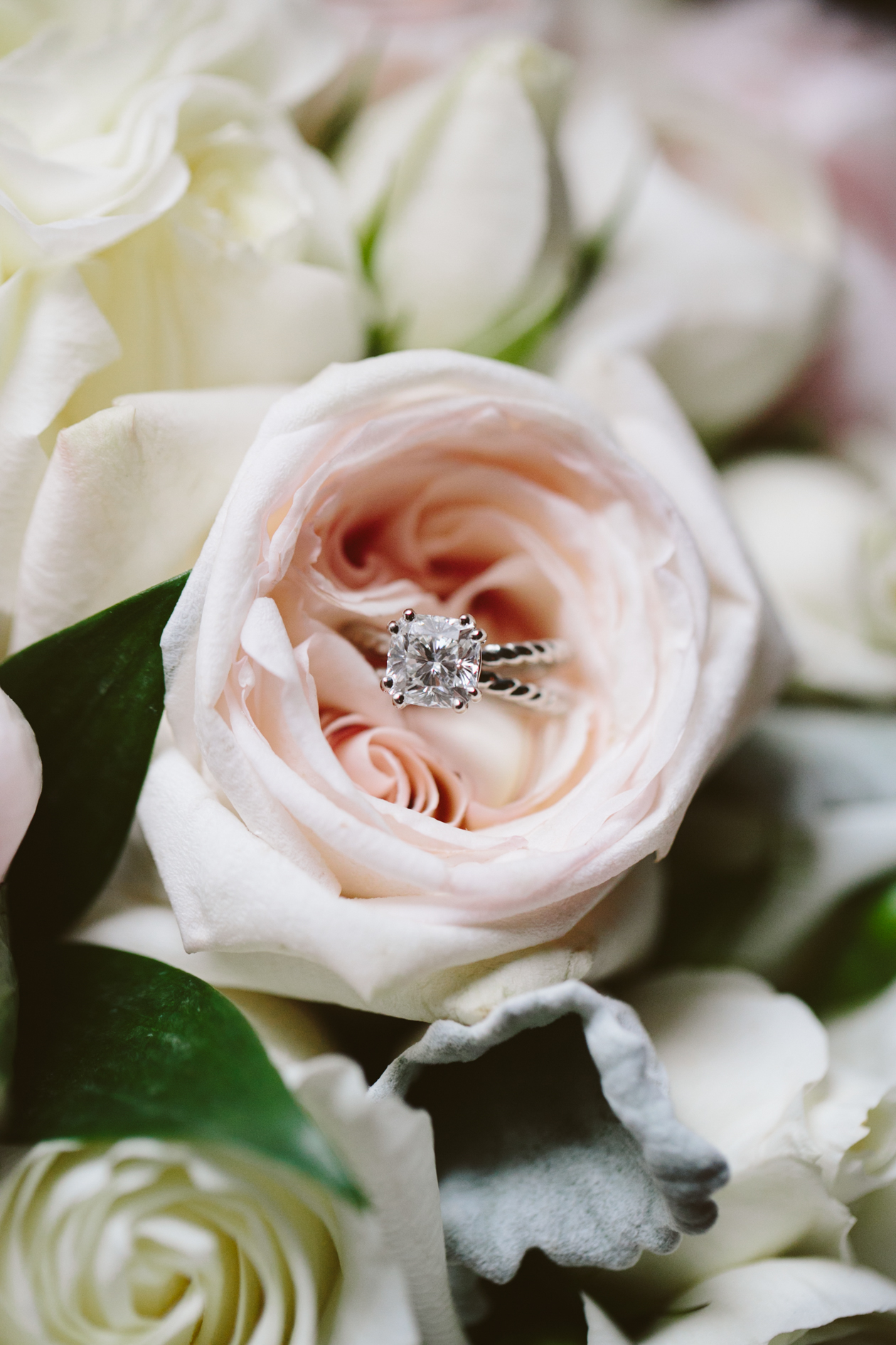 Vancouver Wedding Photographer