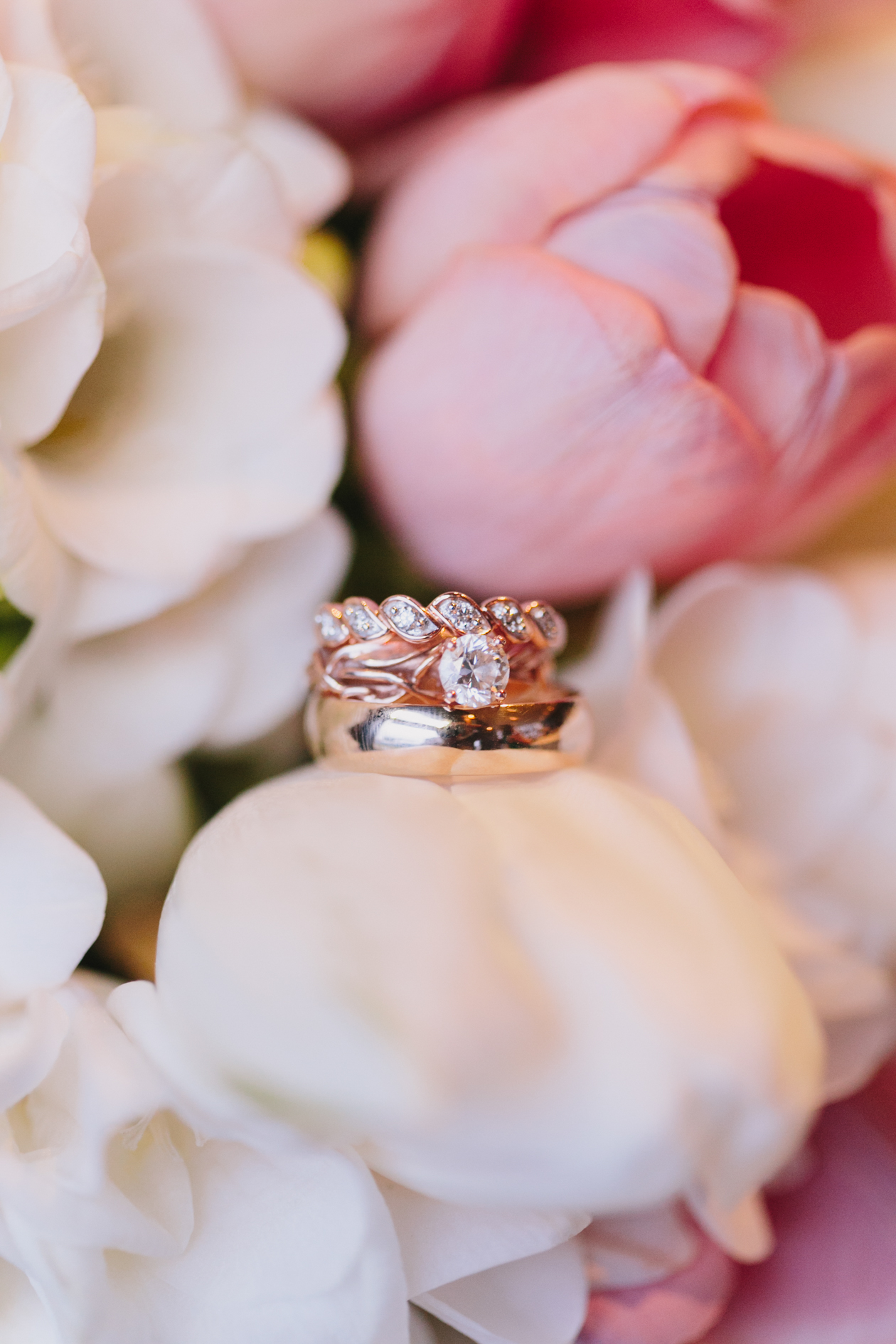 Vancouver Wedding Photographer