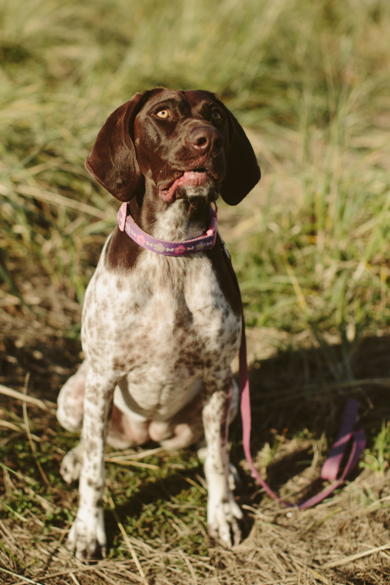Crescent Beach Family Photos