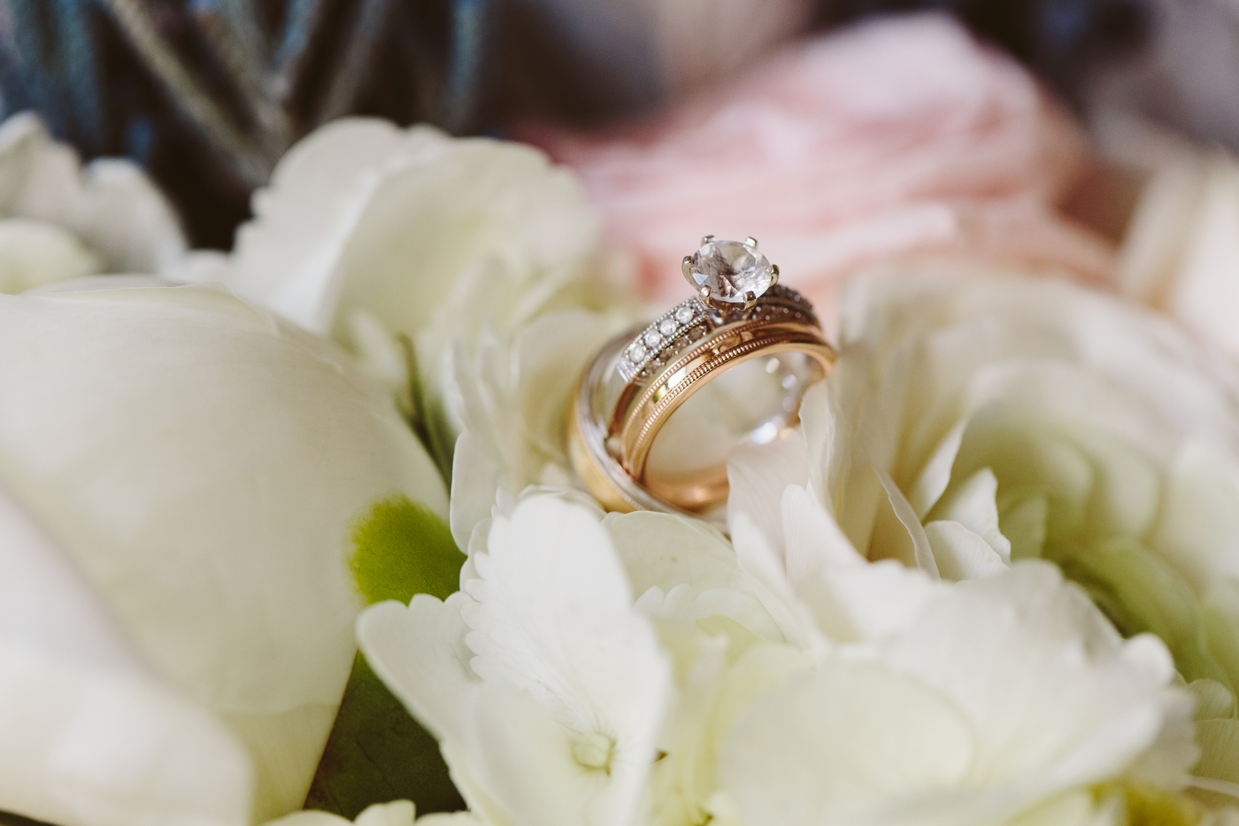 Vancouver Wedding Photographer Jamie Delaine