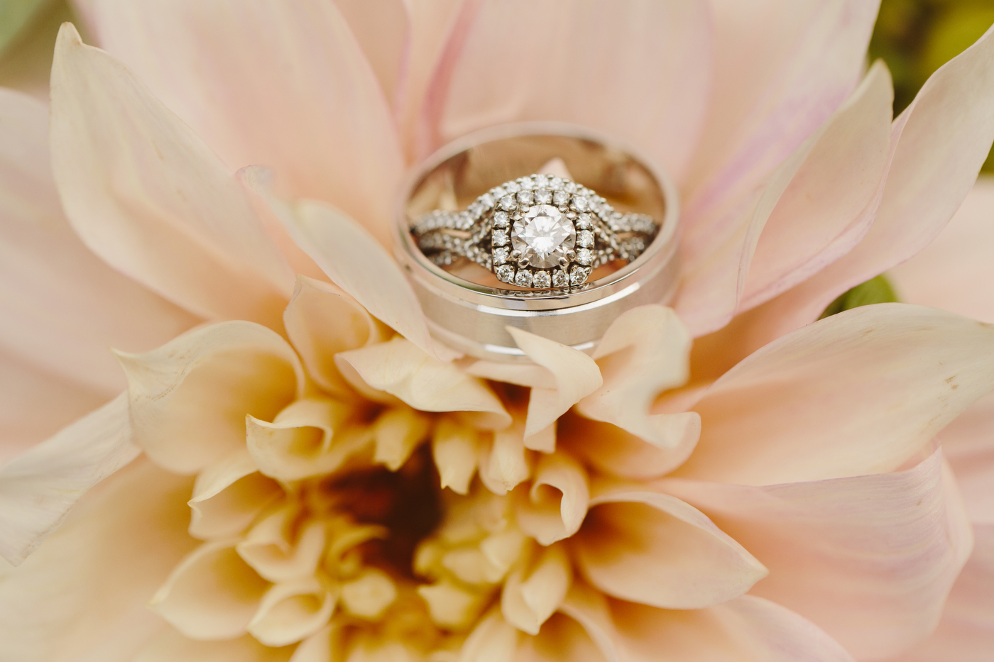Vancouver Wedding Photographer Jamie Delaine