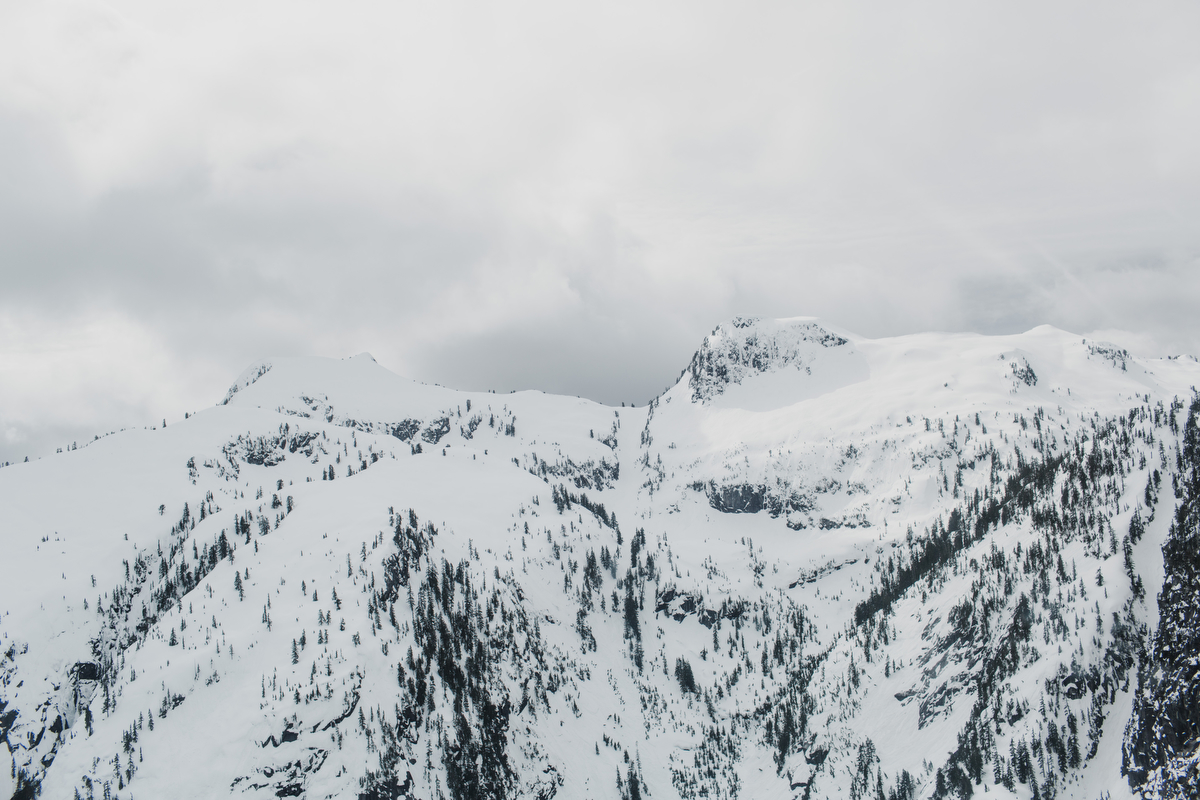 vancouver helicopter engagement session