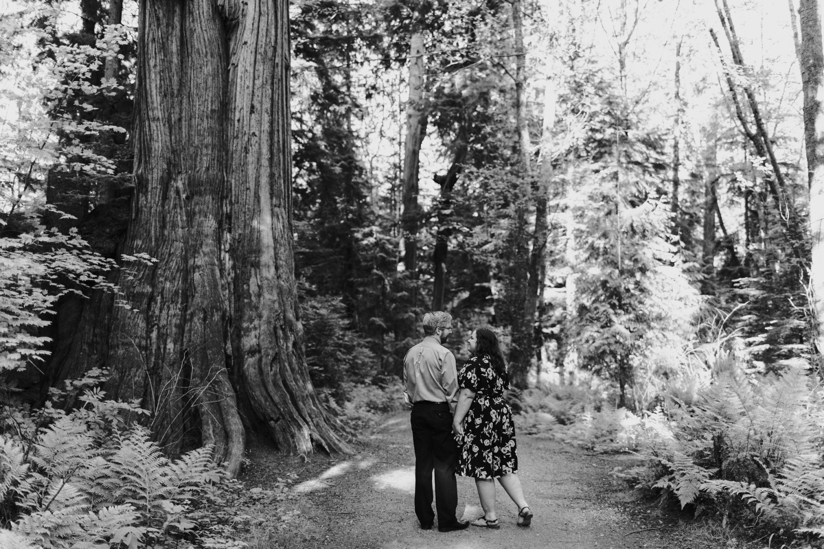 stanley park engagement photos