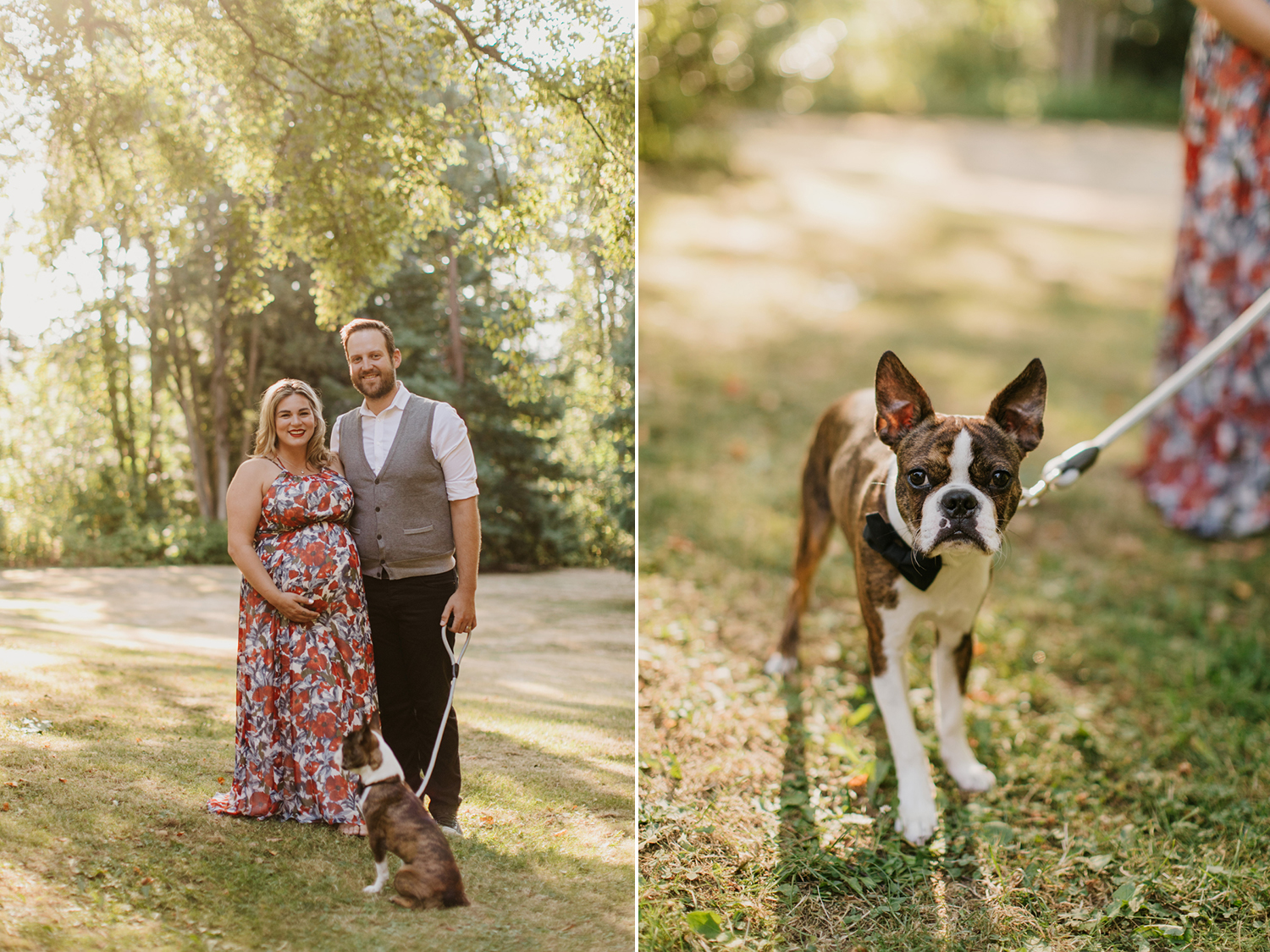 Redwood Park Maternity Photos