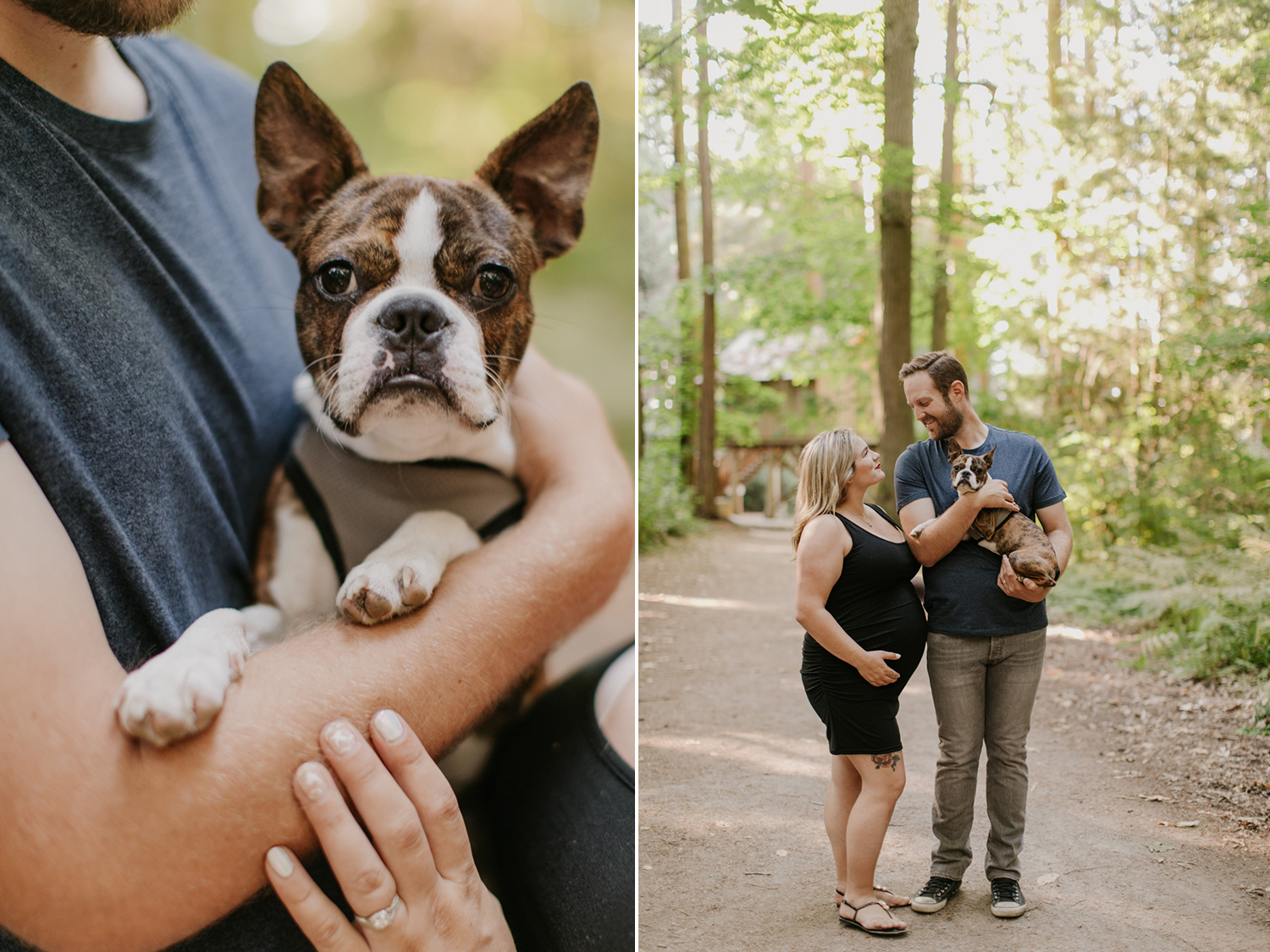 Redwood Park Maternity Photos
