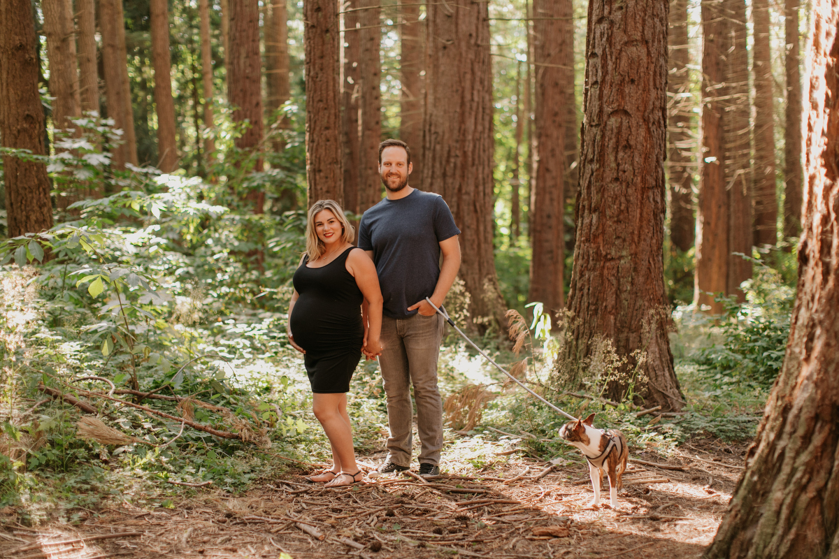 Redwood Park Maternity Photos