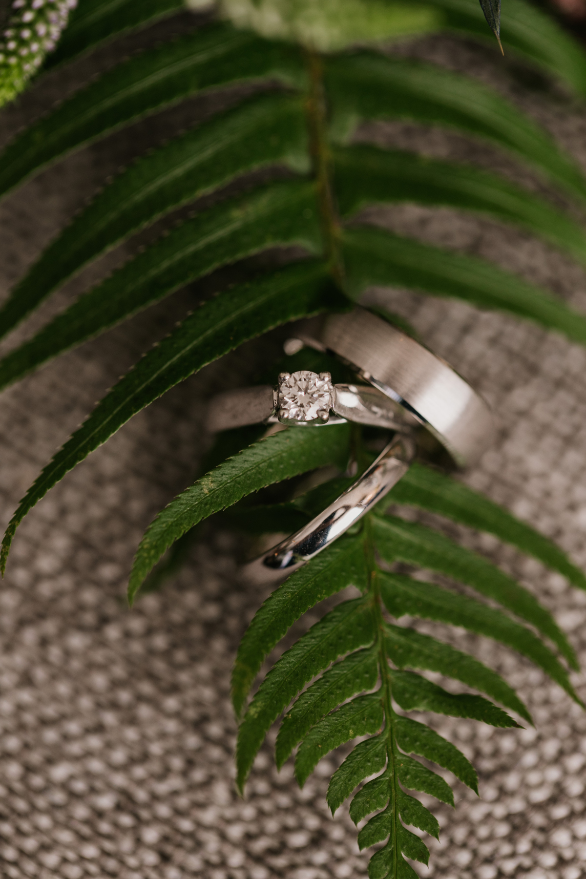 belgard kitchen wedding photos