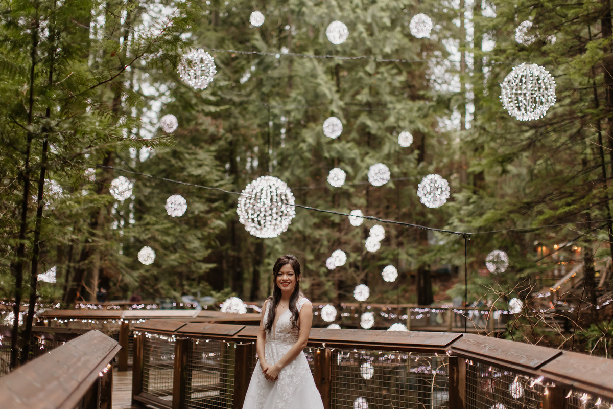 Canyon Lights at Capilano Suspension Bridge Park