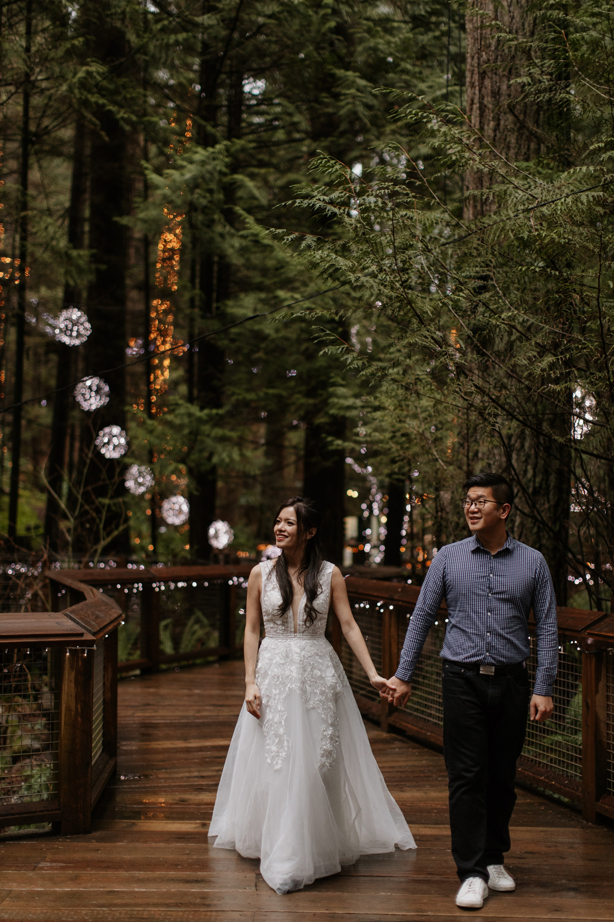 Canyon Lights at Capilano Suspension Bridge Park
