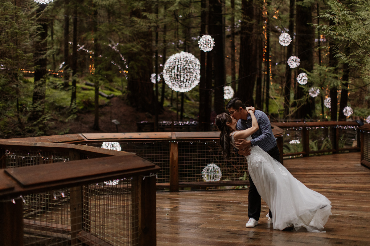 Canyon Lights at Capilano Suspension Bridge Park