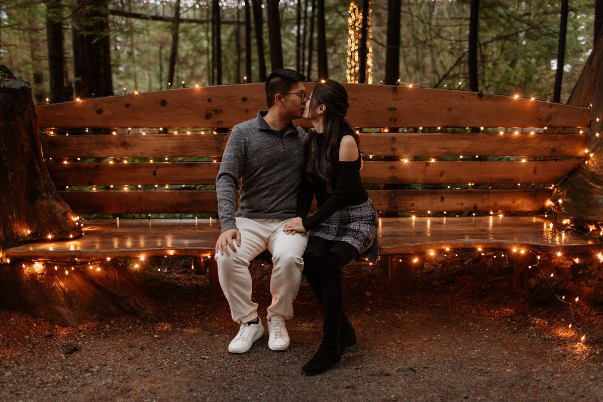Canyon Lights at Capilano Suspension Bridge Park