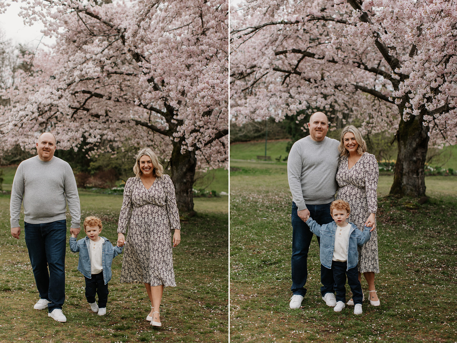 vancouver cherry blossom photos