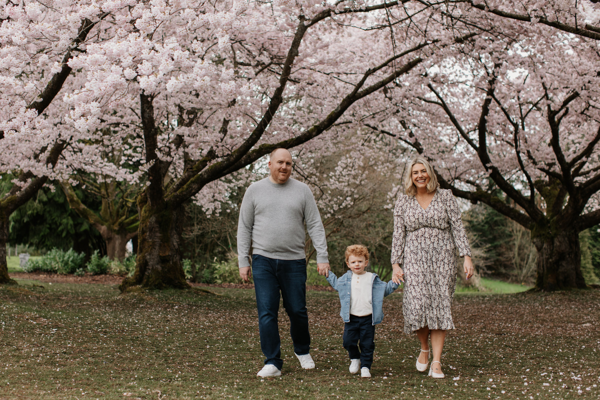 vancouver cherry blossom photos