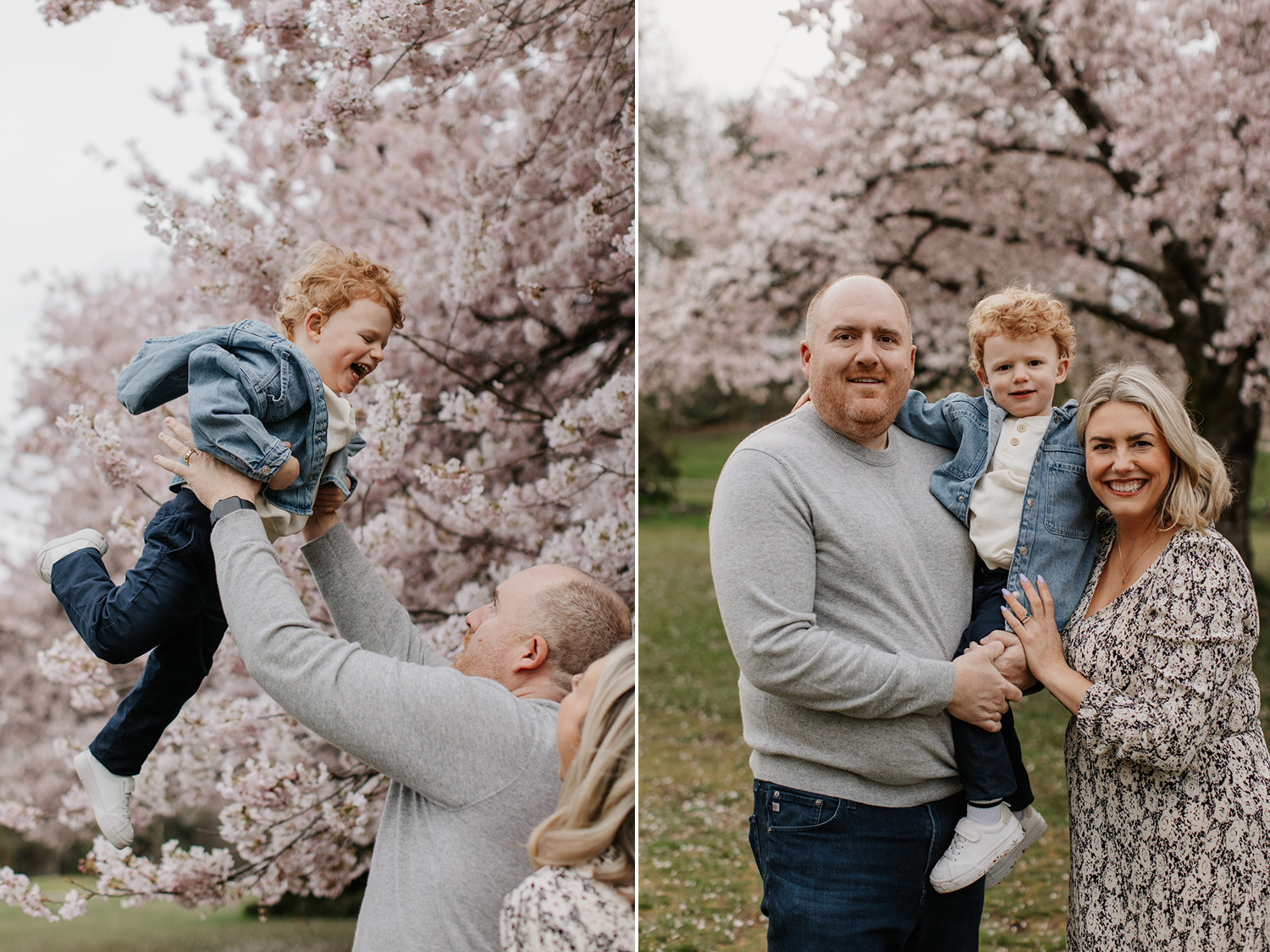 vancouver cherry blossom photos
