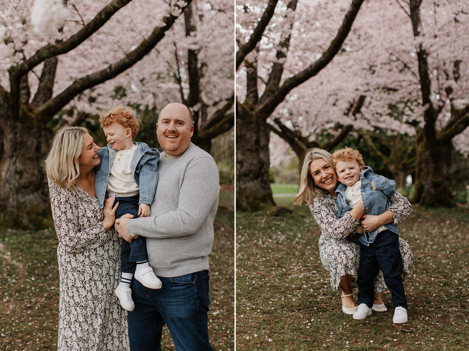 vancouver cherry blossom photos