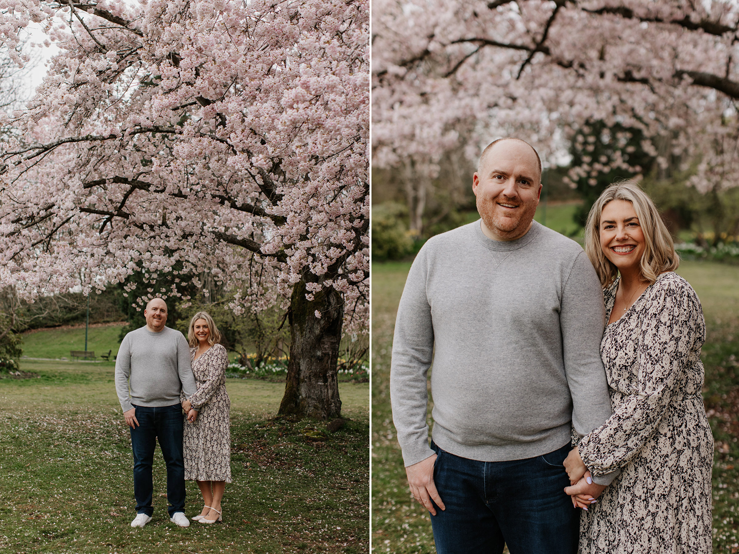 vancouver cherry blossom photos