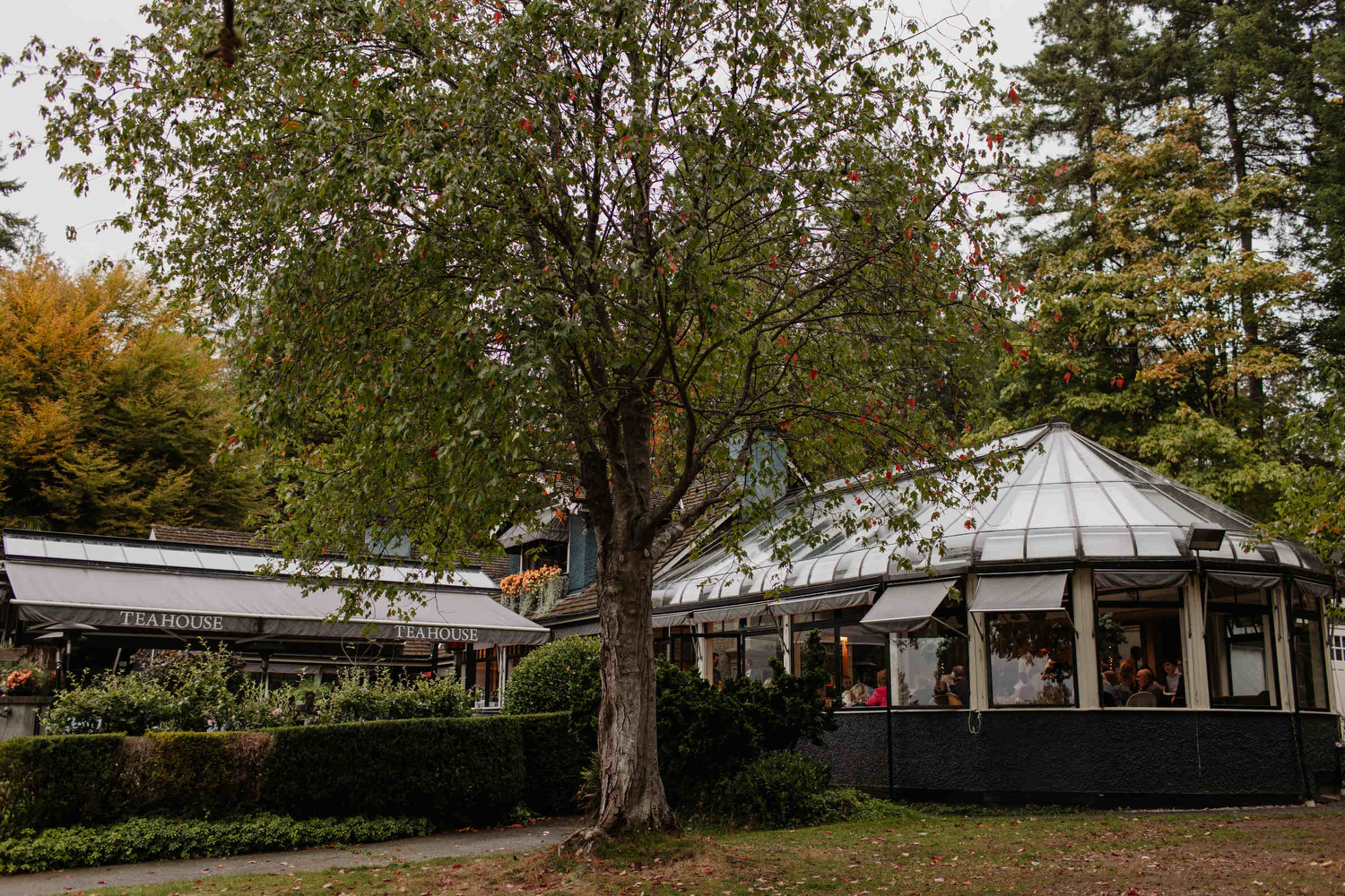 stanley park teahouse wedding