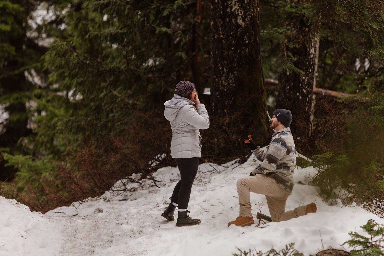 Grouse Mountain Vancouver Proposal Photos