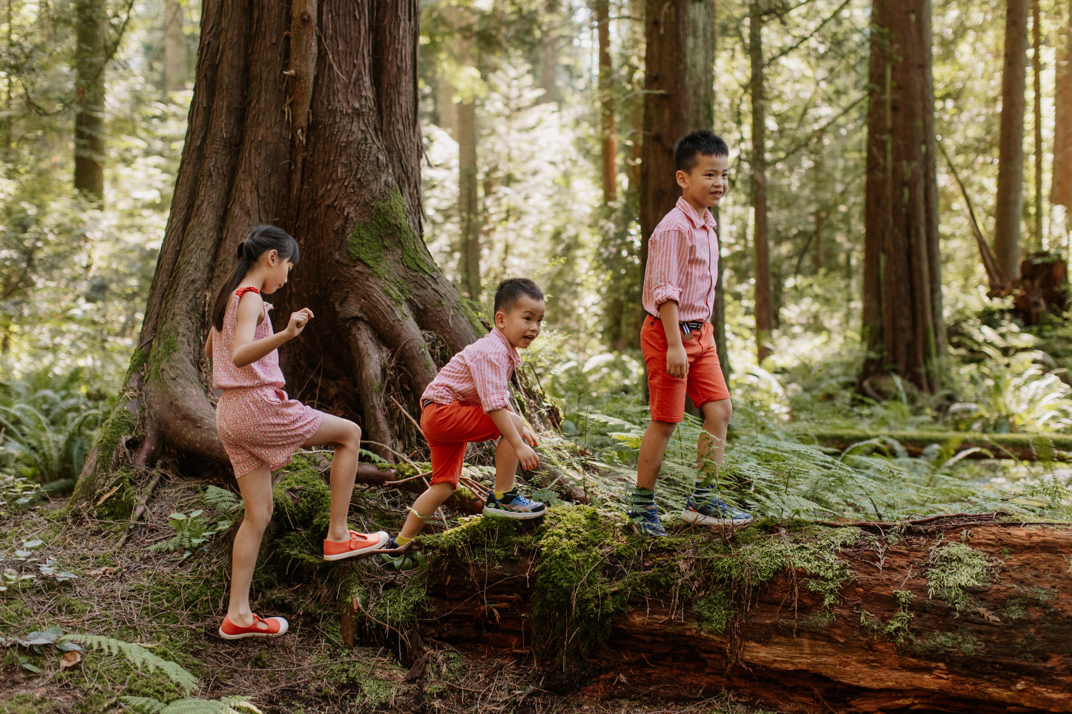 Pacific Spirit Park Family Photos