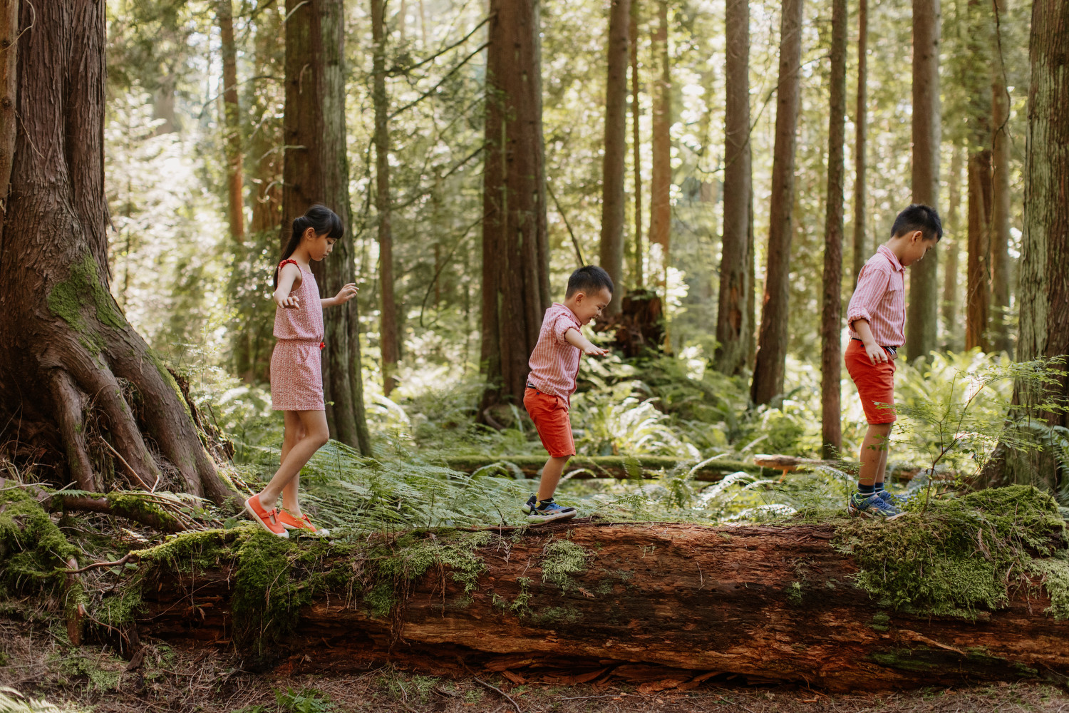 Pacific Spirit Park Family Photos