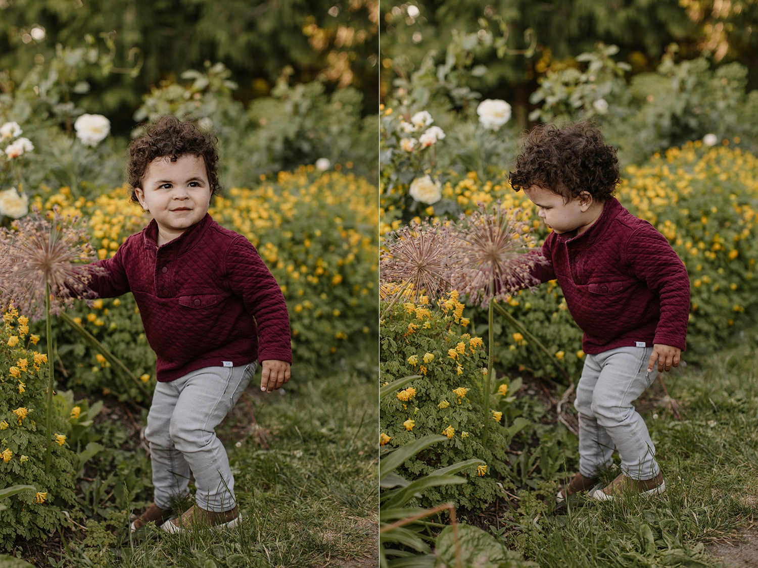 Queen Elizabeth Park Family Photos